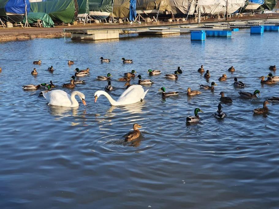 Sjarmerende Leilighet I Hjerte Av Tonsberg By Kültér fotó